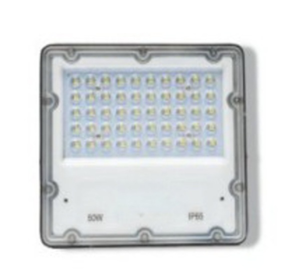 50W Lens Flood Light 