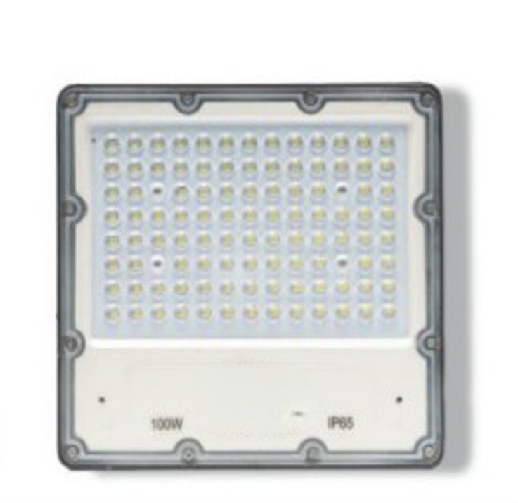 100W Lens Flood Light 